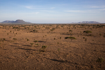 Plains of Tanzania