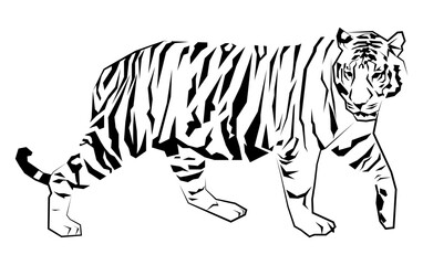 geometric tiger illustration
