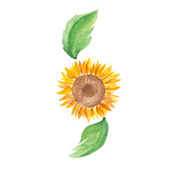 Sunflower. Watercolor illustration isolated on white background. Ideal for stickers, cards, farbic prints, cosmetic packaging design.