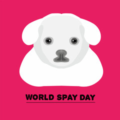 Vector graphic of world spay day day for world spay day celebration. flat design. flyer design. February 28.