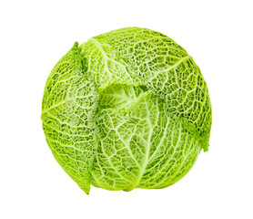 Fototapeta premium Savoy cabbage head top view isolated on white background with clipping path