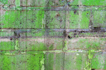 Concrete block wall with green and black stains grunge texture