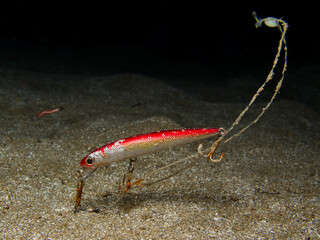 Fishing tackle on the seabed 