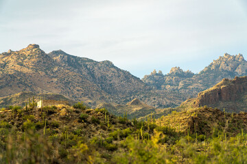 The great outdoors in tuscon arizona on mission view trail in sonora desert in sabino national park...