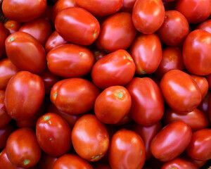 background with tomatoes.group of red tomatoes for background