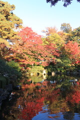 池のまわりで色ずく木々