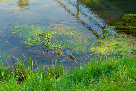 Hohlerbaechle bei Schwarzach, Entw&auml;sserungs Kanal f&uuml;r Felder und Rhein&uuml;berlauf