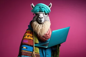 Fotobehang Studio photo portrait of a happy lama in hipster clothes using a laptop, concept of Bright Colors and Stylish Outfit, created with Generative AI technology © RealPeopleStudio