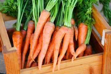 carrot on wooden box background, harvest fresh carrots for cooking food fruits and vegetables for health concept, baby carrots bunch and leaf