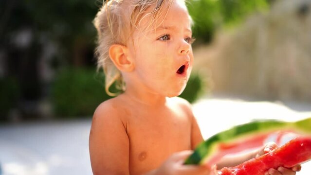 Little Girl Gnaws Out The Middle Of A Round Piece Of Watermelon, Holding It With Both Hands