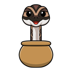 Cute python molurus bivittatus cartoon inside the sack