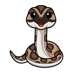 Cute python molurus bivittatus cartoon