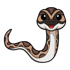 Cute python molurus bivittatus cartoon