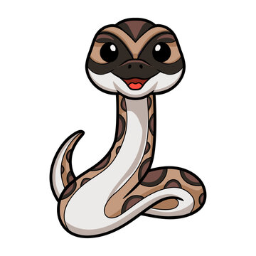 Cute python molurus bivittatus cartoon