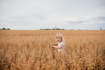 Naklejka na ściany i meble 6 year old girl running in a wheat field. Happy childhood concept