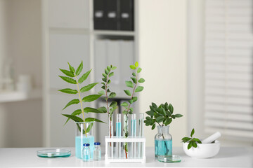 Plakat Many glass tubes with leaves on white table indoors