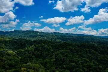 Fototapeta na wymiar Aerial view of a tropical forest canopy on a sunny day with fluffy clouds casting their shade over the forest canopy: stunning green nature background