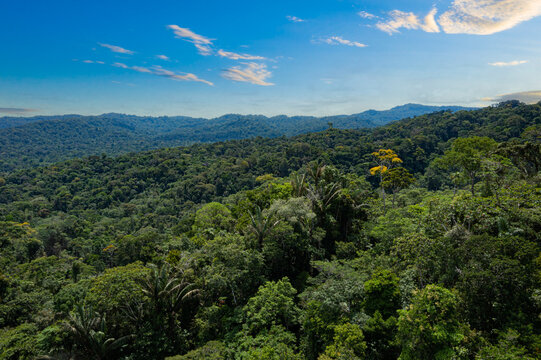 Aerial view of the amazon forest at the start of the amazon basin