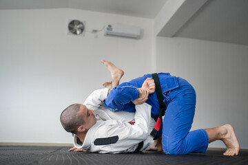 brazilian jiu jitsu bjj concept training martial arts combat sport