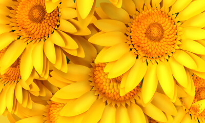 Sunflower yellow orange color macro close up background wallpaper plant flora blossom petal botany  garden natural beautiful organic spring summer autumn season time sunshine farming detail pattern 