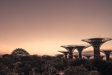 Singapore Gardens by the Bay at dawn