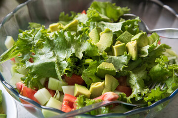 Lettuce cucumber avocado and tomato salad food