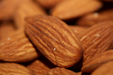 Dry fruit almond close up background prunus amygdalus family rosaceae botanical high quality big size print