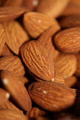 Dry fruit almond close up background prunus amygdalus family rosaceae botanical high quality big size print