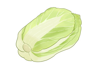 白菜