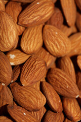 Dry fruit almond close up background prunus amygdalus family rosaceae botanical high quality big size print