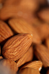 Dry fruit almond close up background prunus amygdalus family rosaceae botanical high quality big size print