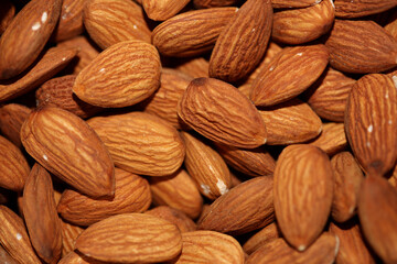 Dry fruit almond close up background prunus amygdalus family rosaceae botanical high quality big size print