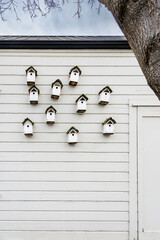 Collection of white wooden bird houses on the side of a white building
