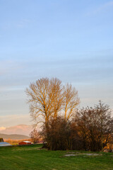 Obraz premium Tree and mountains highlighted by setting sun, nature background 