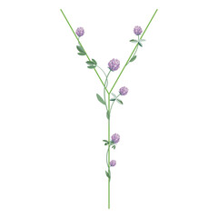 Capital letter Y with floral motifs. Decorative font with blooming branches of red clover flower. Isolated vector illustration.