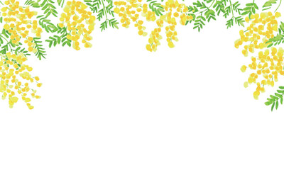 水彩画。水彩タッチのミモザイラストベクターフレーム。ミモザのベクター背景。Watercolor. Mimosa illustration vector frame with watercolor touch. Mimosa vector background.