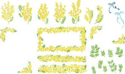 水彩画。水彩タッチのミモザイラストベクターフレーム。ミモザのベクター背景。Watercolor. Mimosa illustration vector frame with watercolor touch. Mimosa vector background.