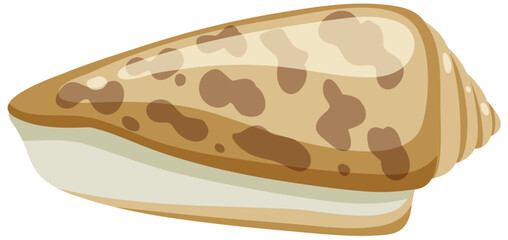 Isolated shell rocky shore