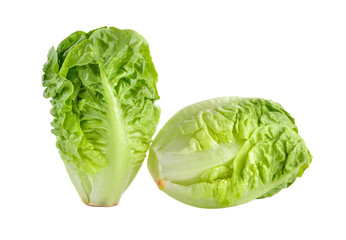 fresh baby cos (lettuce) on  transparent png