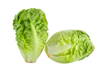 fresh baby cos (lettuce) on  transparent png