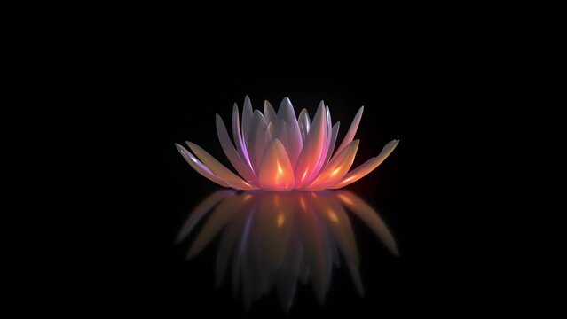 abstract flower