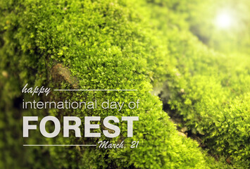 Happy international day of forest, March 21