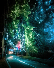 Colourful neon park at night. Magical road.