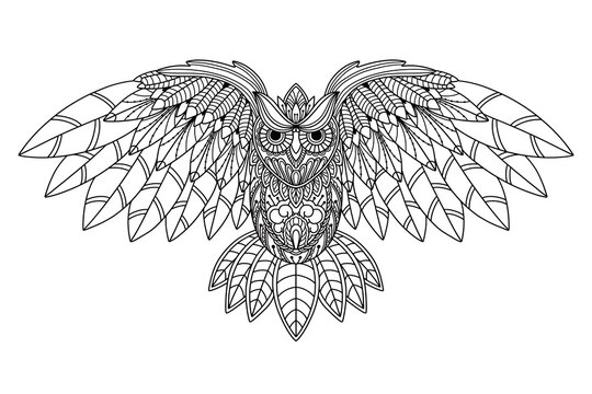 detailed coloring pages of owls