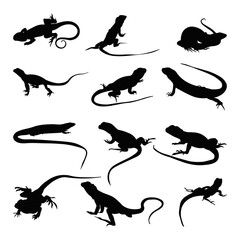 Set lizard silhouette vector illustration.