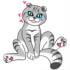 Funny cat sitting. Scottish fold cat. Humor card, t-shirt composition, hand drawn style print. 