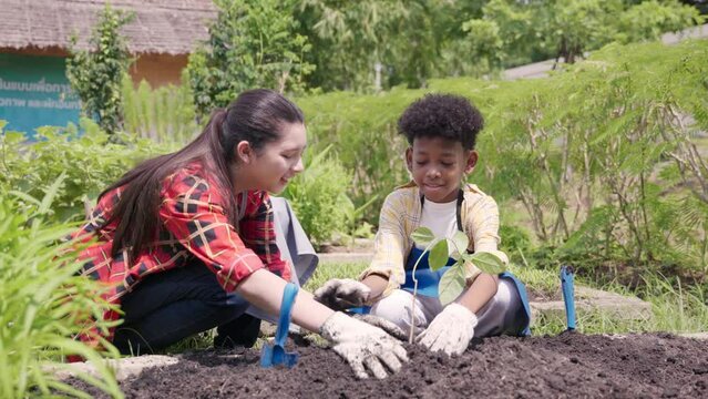 Children group girl and boy of diverse learning environment for plants vegetable at garden farm, Cute child learn gardening, Ecology, organic food, agriculture school learning