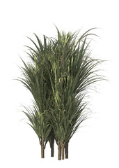 interior plant, plant on pot,, small plant, garden, isolated 3d render, light for daylight, easy to use