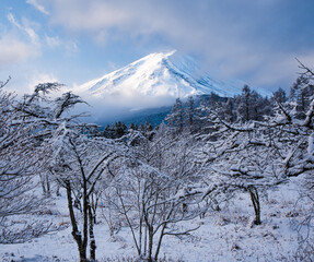 富士山と雪景色