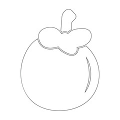 mangosteen icon vector